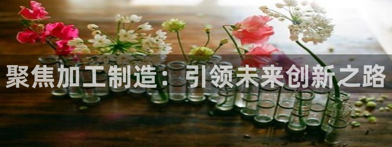 彩名堂全天计划