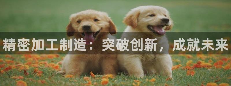 彩名堂怎么跟计划才不连挂在一起