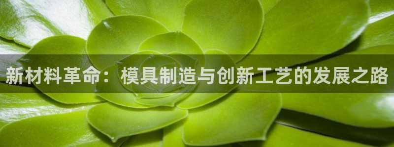 彩名堂预测软件