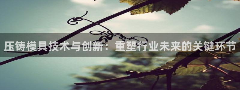 彩名堂官网2