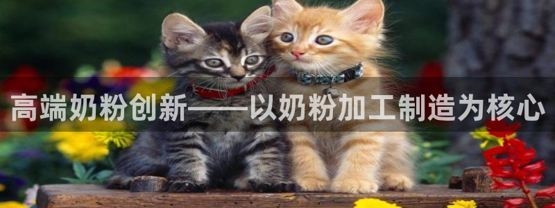 彩名堂苹果客户端