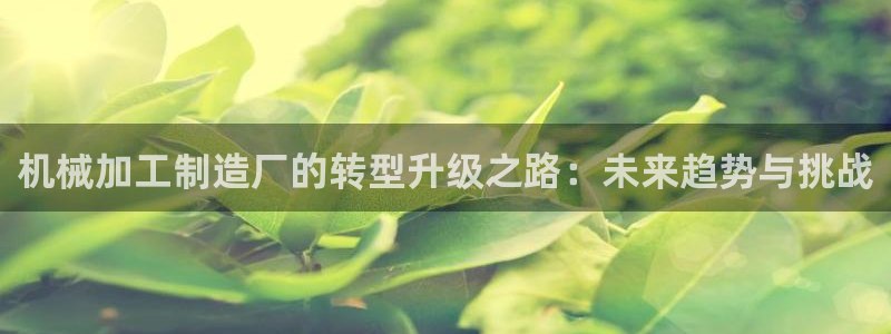 彩名堂客服
