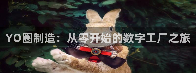 彩名堂是什么