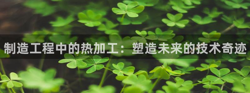 彩名堂改成什么名字了