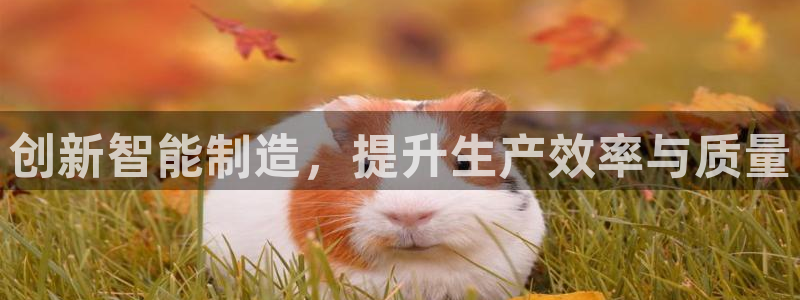 彩名堂5.0版计划怎么用不了