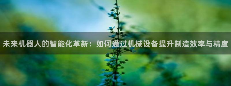 彩名堂彩
