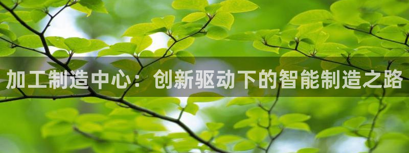 彩名堂最新免费计划官网