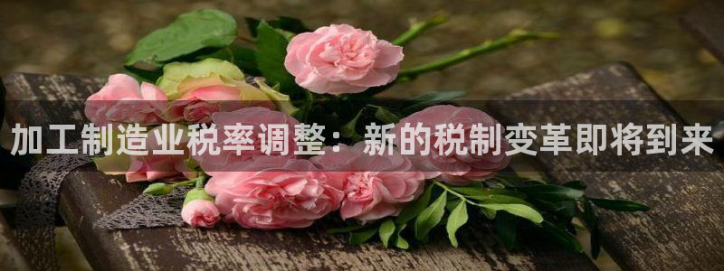 彩名堂平台