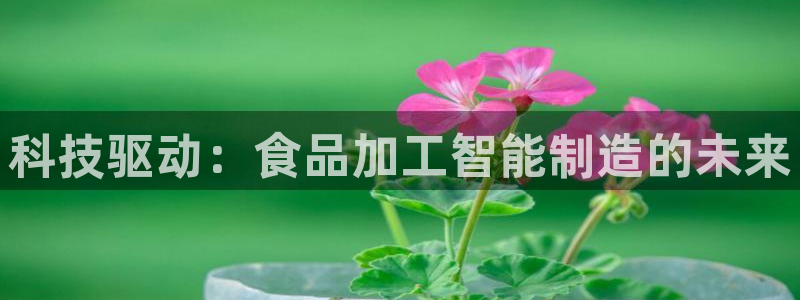 彩名堂官方下载地址