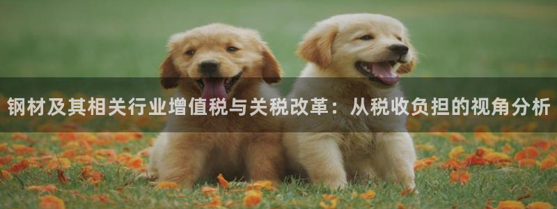 彩名堂开奖结果查询