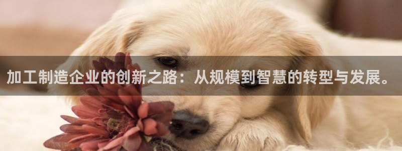 彩名堂50版本计划
