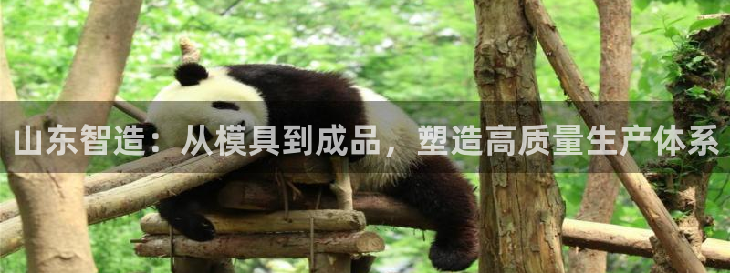 彩名堂app官方下载