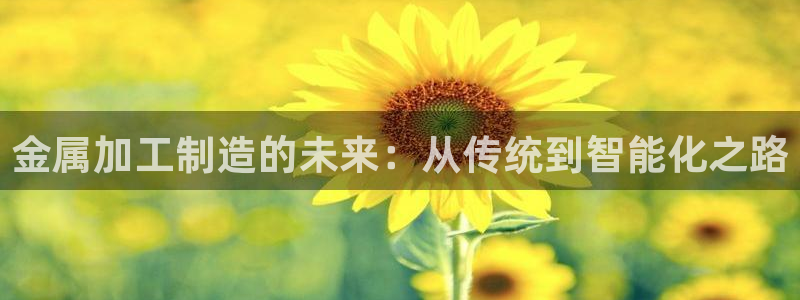 彩名堂计划app安卓免费下载