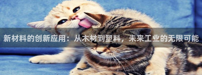 彩名堂最新免费计划官网