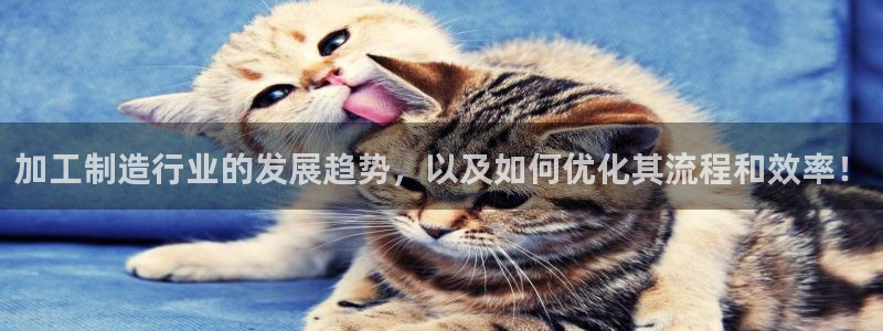 彩名堂App下载