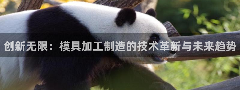 彩名堂官网2