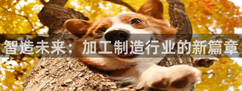 彩名堂客户