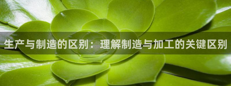 彩名堂为啥又不能用了