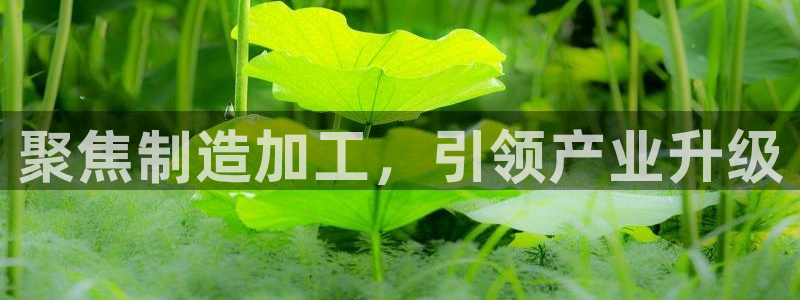 彩名堂怎么买准确率高