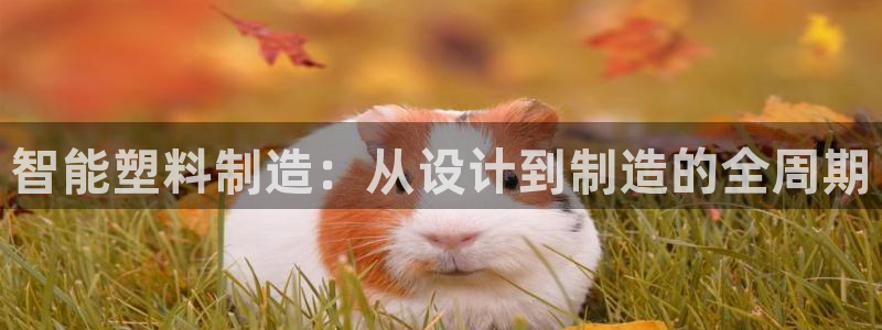 彩名堂app计划官方网站