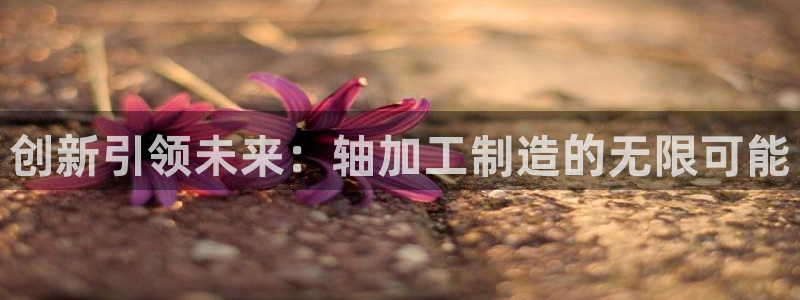 彩名堂免费计划下载