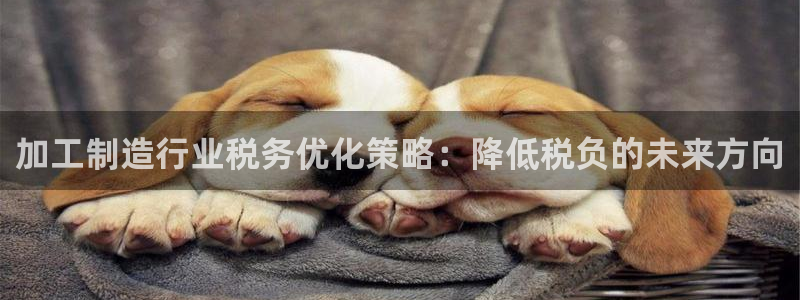 下载彩名堂预测计划软件安卓
