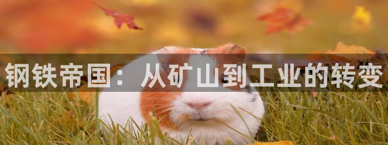 彩名堂怎么买准确率高一点