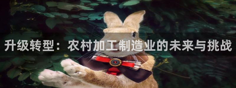 彩名堂使用方法和用量