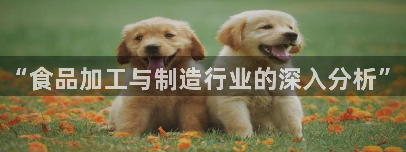 彩名堂安卓客户端官网