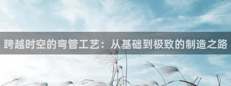 彩名堂计划怎么出的