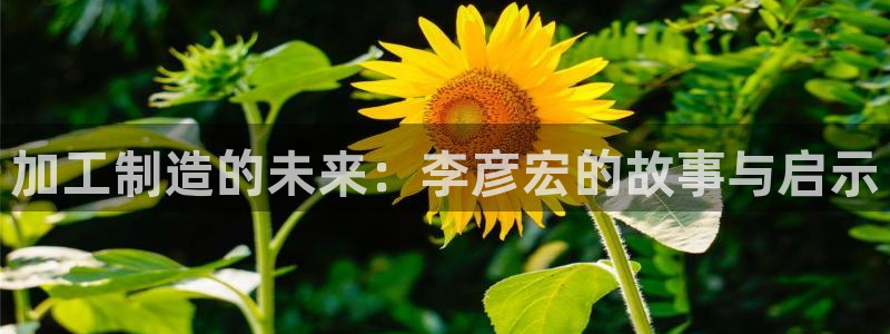 彩名堂50版本计划