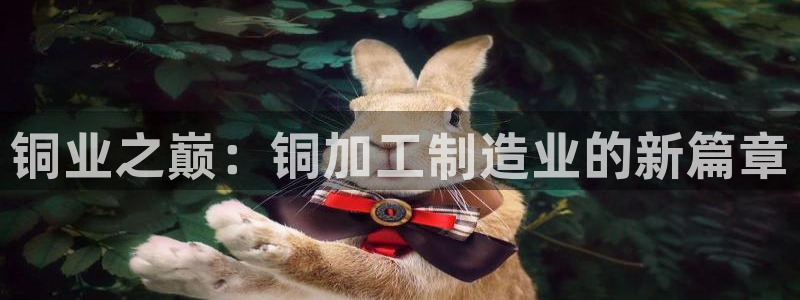 彩名堂平台