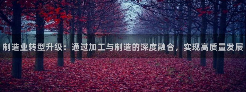 彩名堂免费计划下载
