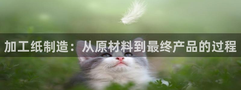 彩名堂移动客户端是什么