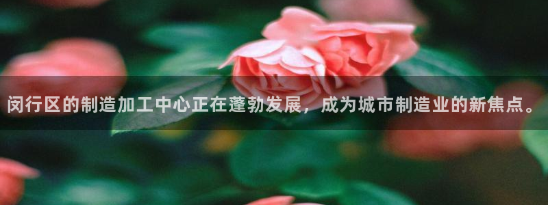 彩名堂预测软件与分析