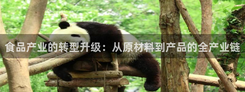 彩名堂官方下载地址