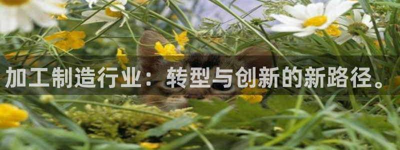 彩名堂计划官方客服