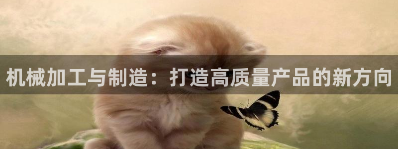 彩名堂50版本计划