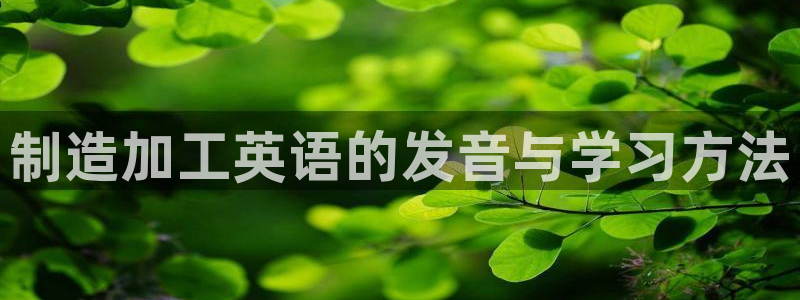彩名堂人工预测免费计划