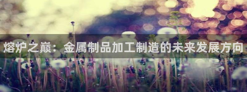 彩名堂计划官网客户端