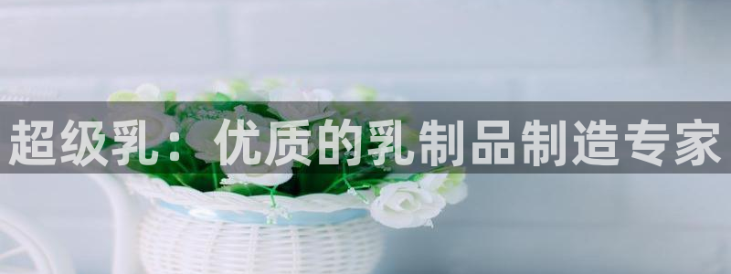 彩名堂预测免费计划怎么看的