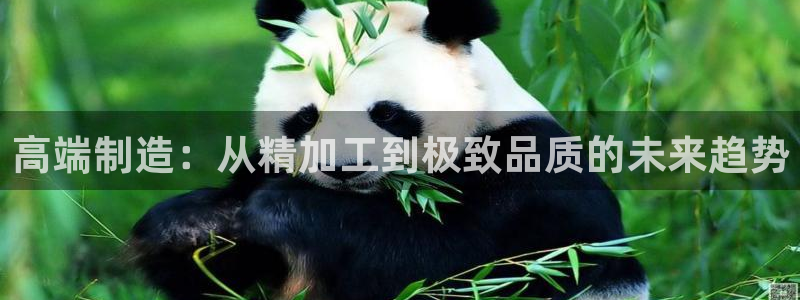彩名堂用不了