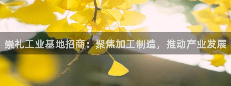 彩名堂5.0版计划怎么用不了