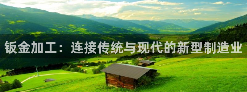 彩名堂怎么用不输