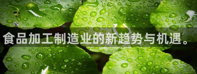 彩名堂计划怎么跟,为什么我一跟就挂