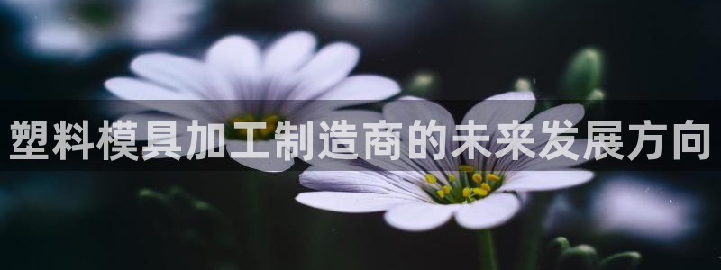 彩名堂5.0计划