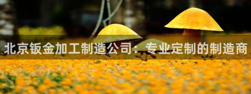彩名堂客户端是永久免费吗