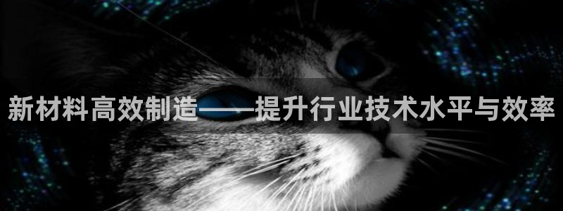 彩名堂5.0计划永久免费版为什么下不了