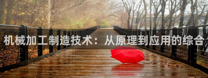 彩名堂975新版本