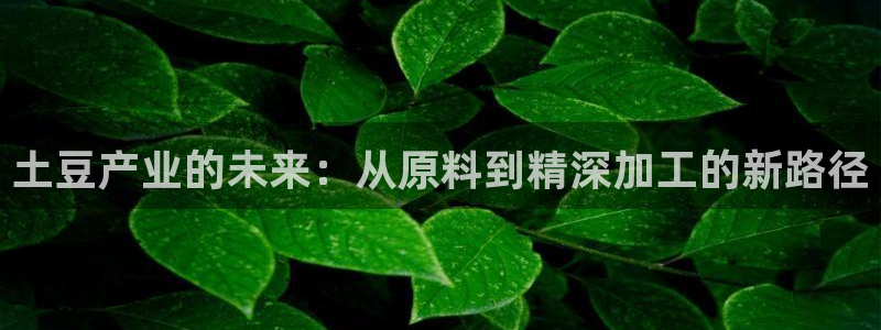 彩名堂旧版本